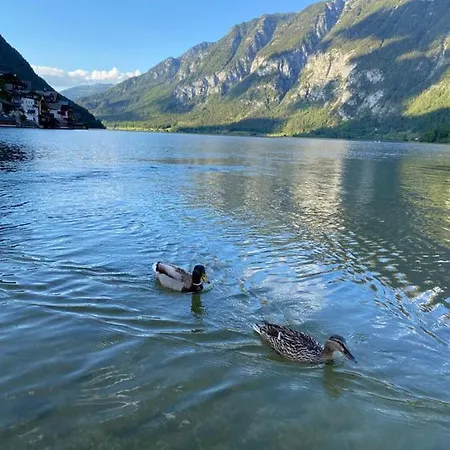Daire Am Hallstattersee Im Sarstein